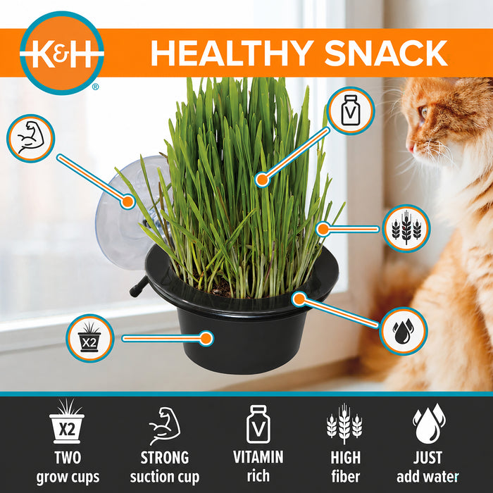K&H EZ Mount Window Cat Grass Grow Station