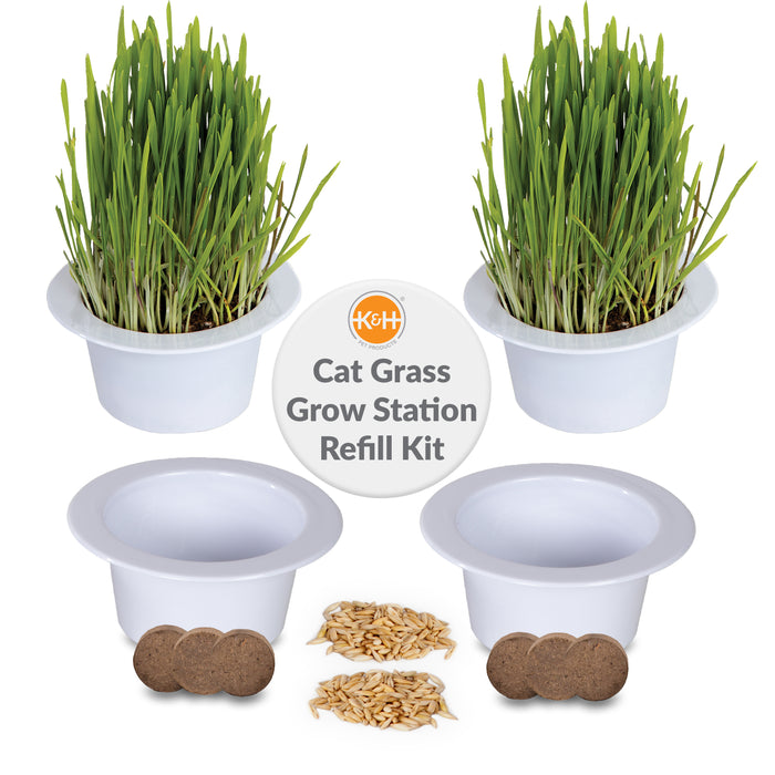 K&H Cat Grass Grow Station Growing Cup Refills