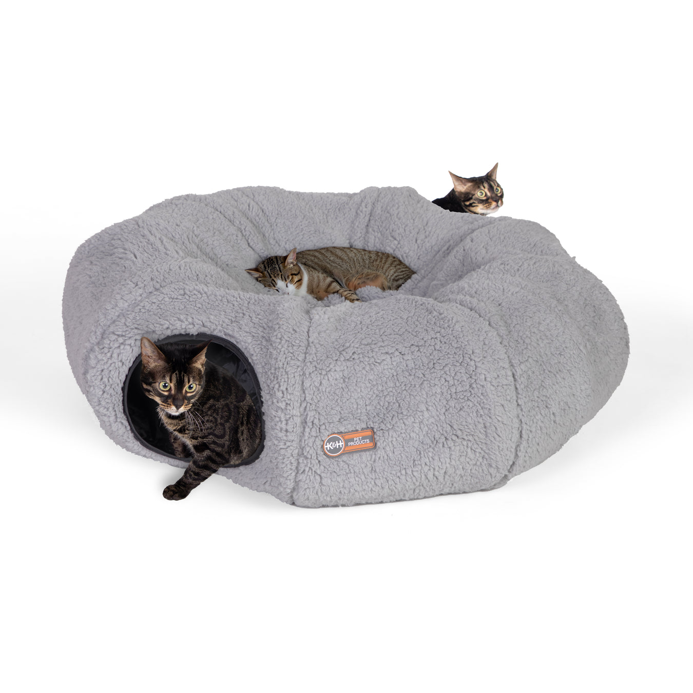 New Cat Products