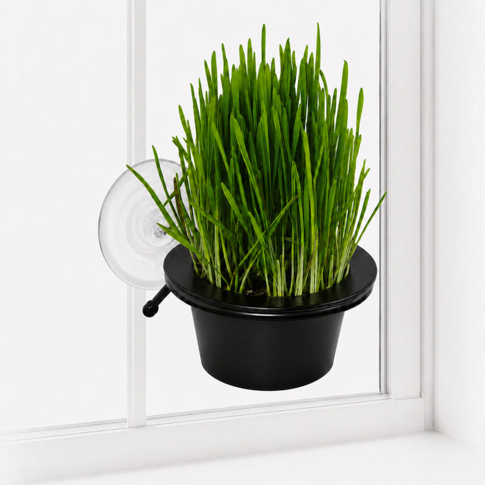 K&H EZ Mount Window Cat Grass Grow Station