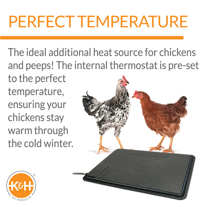 K&H Thermo-Chicken Heated Pad