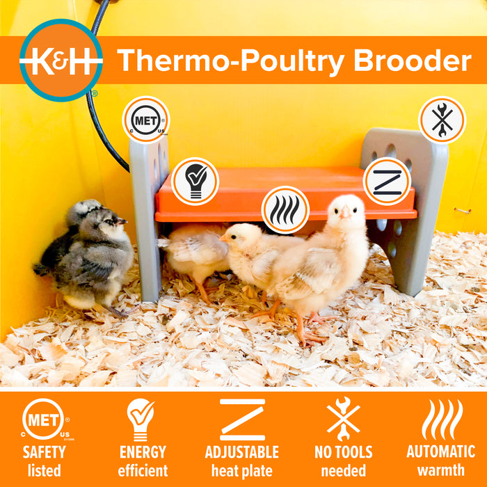 K&H Thermo-Poultry Brooder