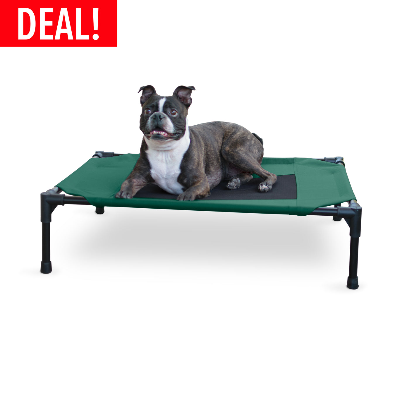 Indoor/Outdoor Dog Beds
