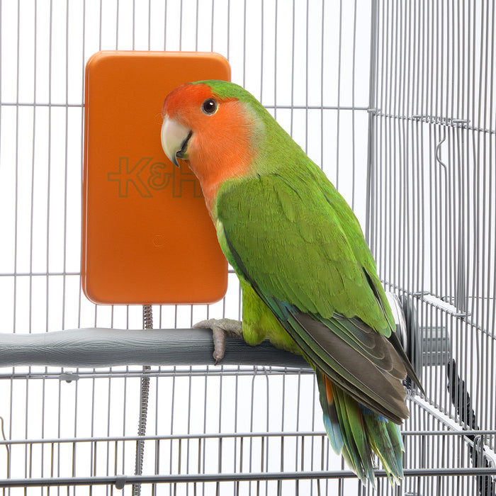 K&H Snuggle Up Bird Warmer™ Bird Cage Heater for Exotic Birds