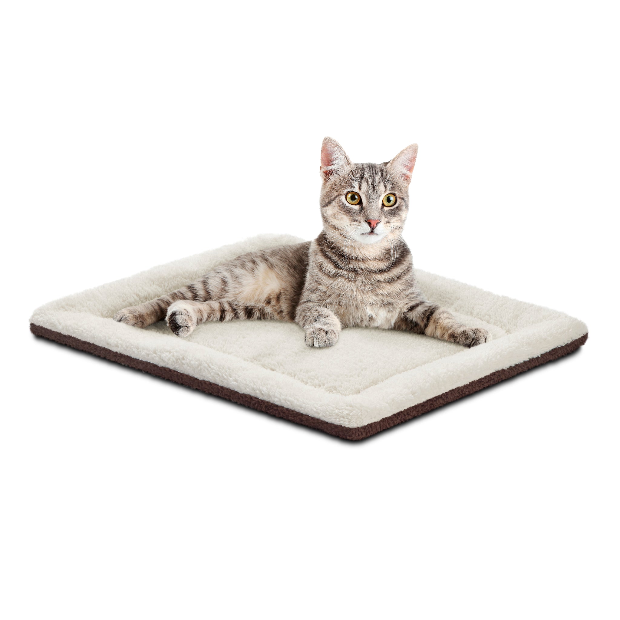 Stunning Heated Cat Beds For Muscle Relaxation image
