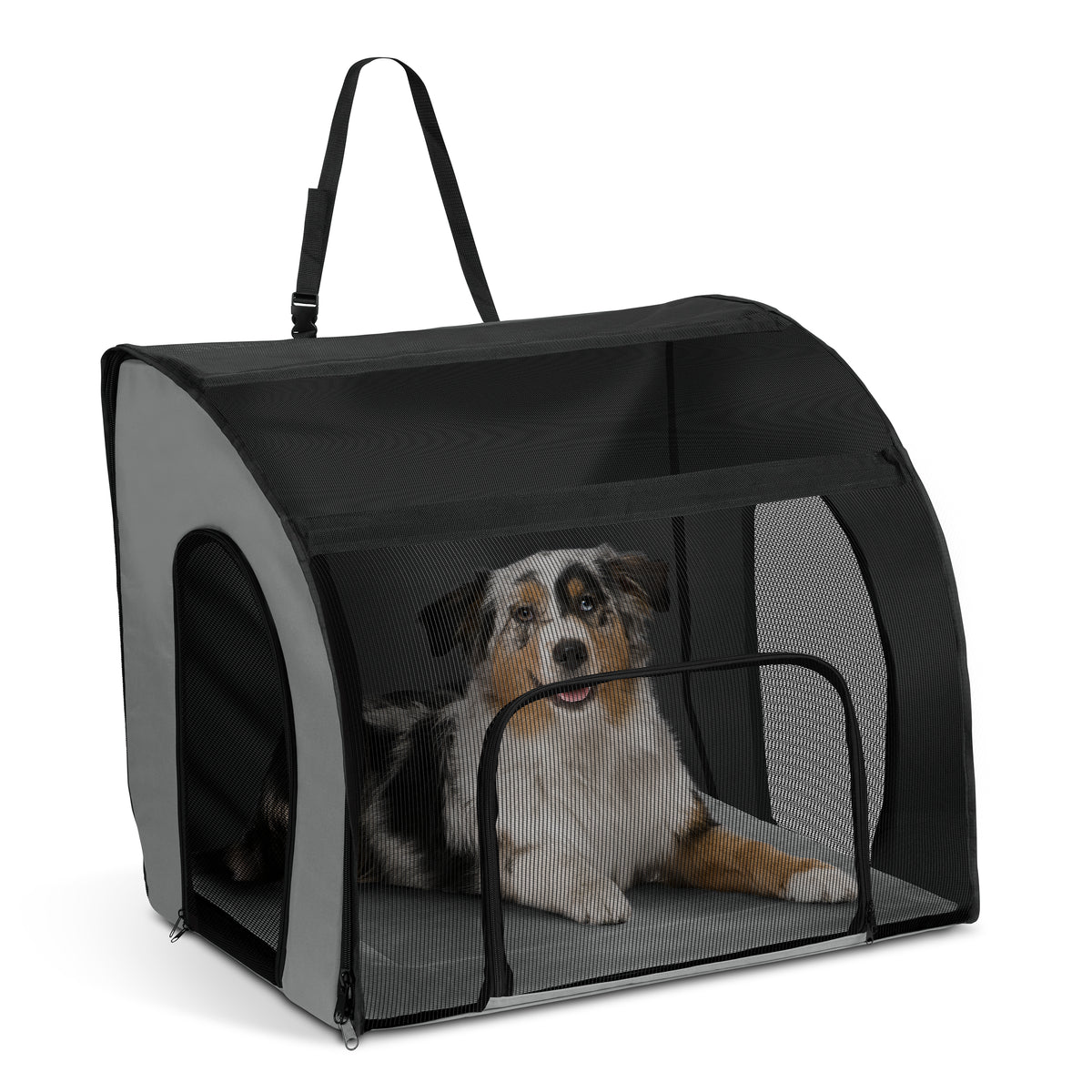 K&H Travel Safety Carrier — K&H Pet Products