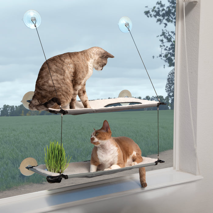 K&H Window Lounger Cat Perch with Cat Grass Grow Station - Single or Double Level