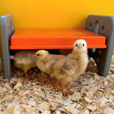 chick_brooder