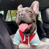 frenchie in car seat