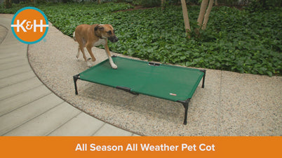 K&H All Season All Weather Dog Cot — K&H Pet Products
