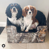 two dogs in a realtree bucket booster