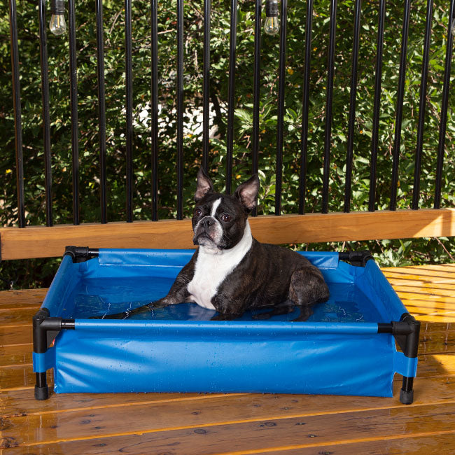 Cooling Dog Beds & Pools