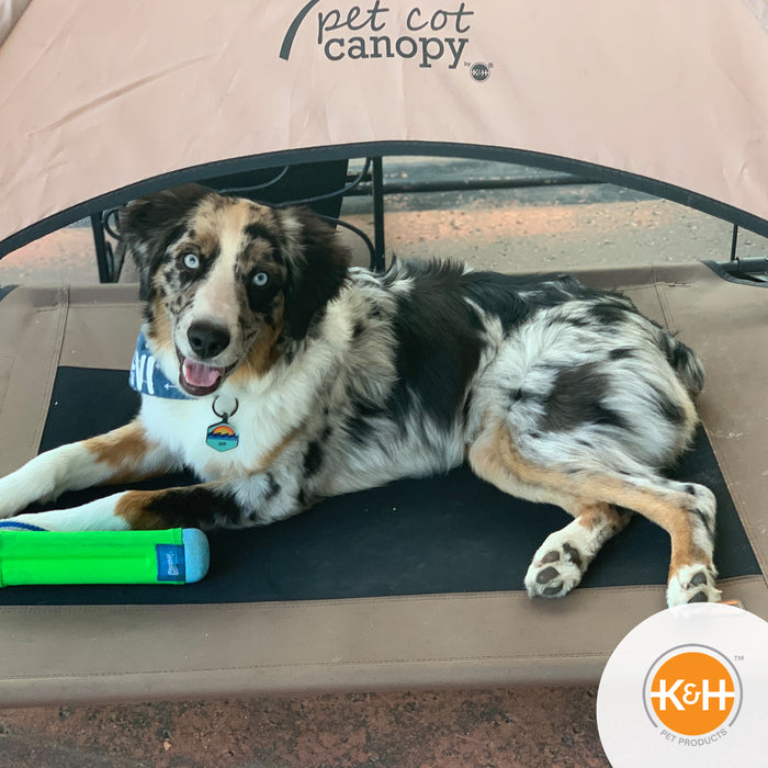 K&H Pet Cot Canopy (Cot sold separately)