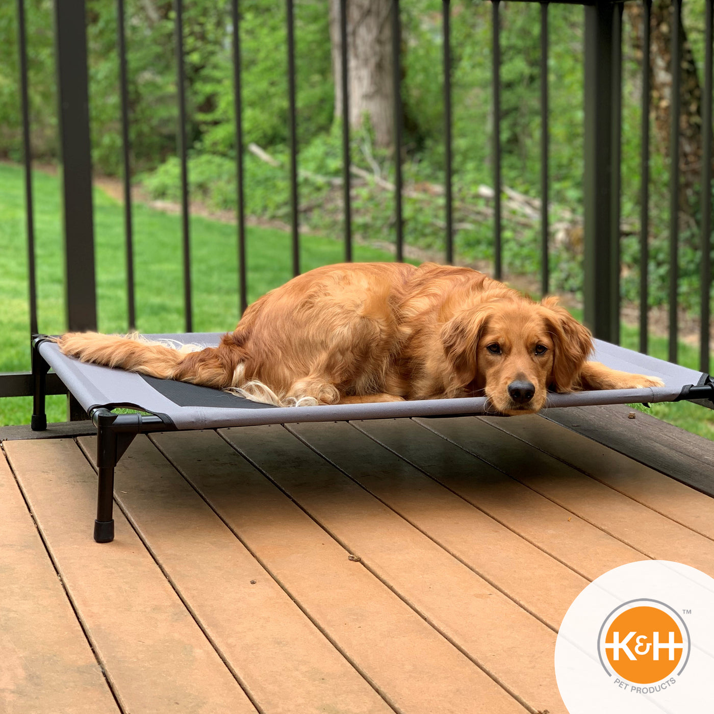 K&H Pet Products Original Pet Cot - Raised, Mesh Cooling Dog Bed