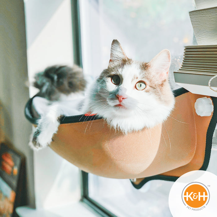  Coomazy Cat Window Perch, Large Cat Window Hammock Indoors,  Easy to Install & Adjustable (Hook - Pink Mat) : Pet Supplies