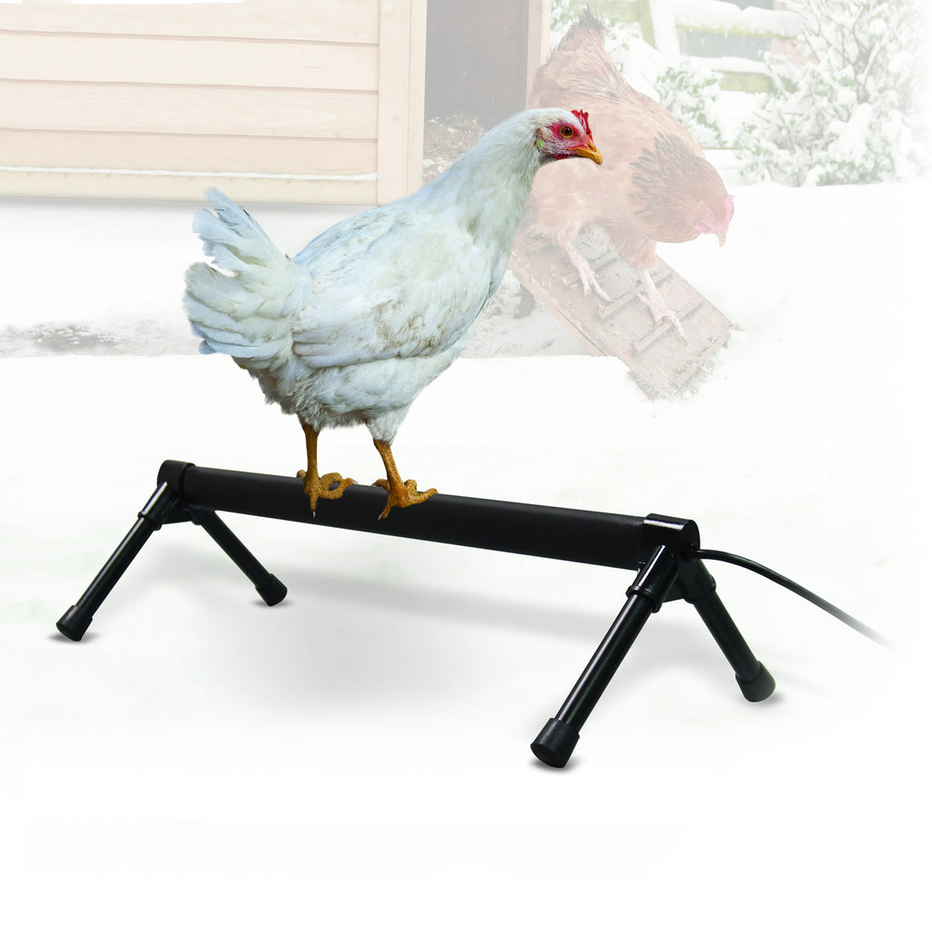 K&H PET PRODUCTS Thermo-Perch Heated Bird Perch Gray, Small 