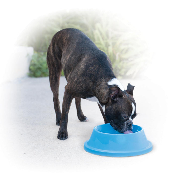 Cooling Water Bowls For Dogs