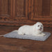 K&H Thermo-Plush Pad - Gray, Medium, Dog