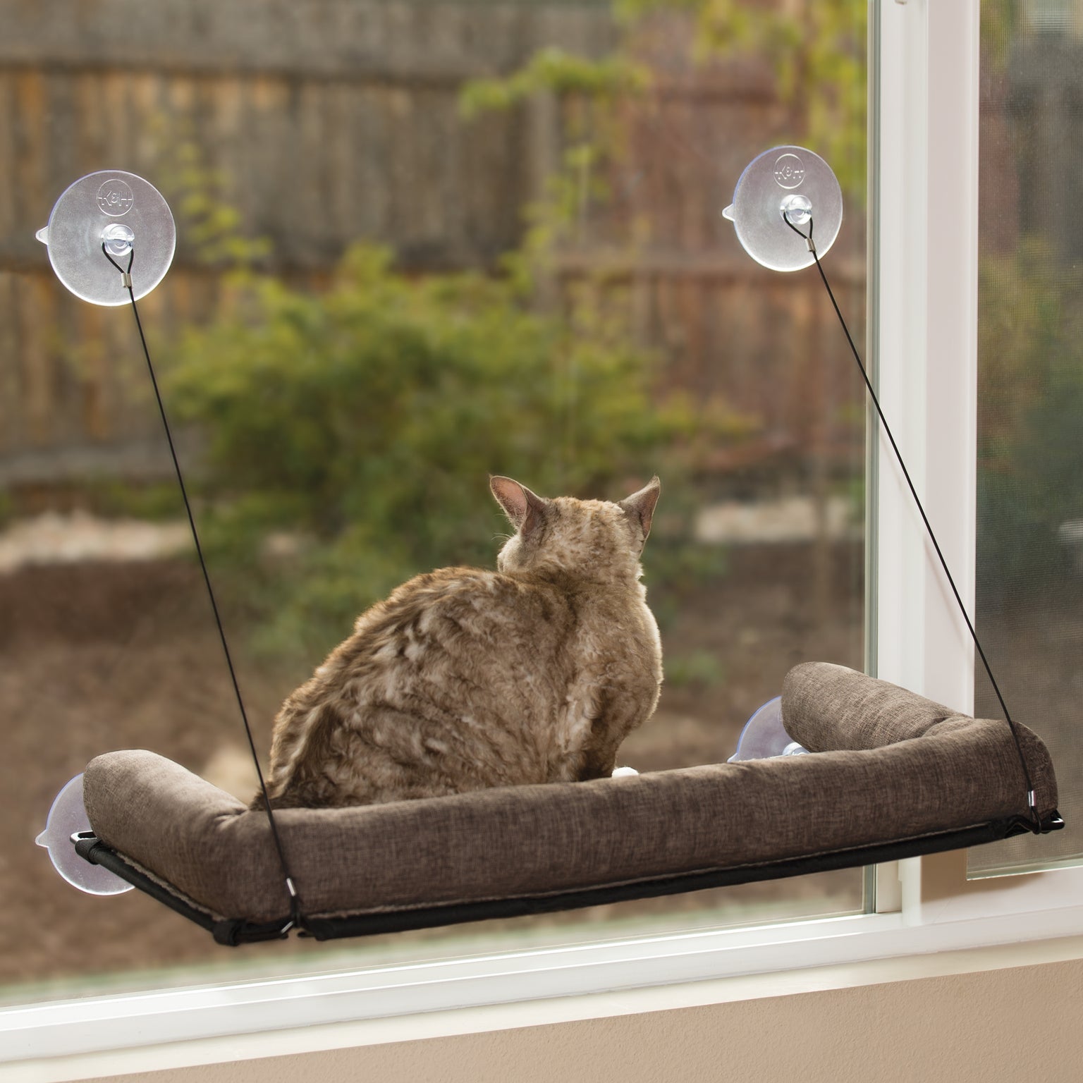 K&H Kitty Sill & EZ Mount Cat Window Perches — K&H Pet Products