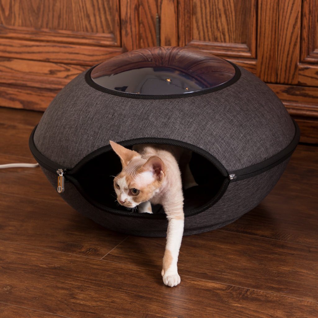 Image showcasing Indoor Heated Cat Beds — K&H Pet Products
