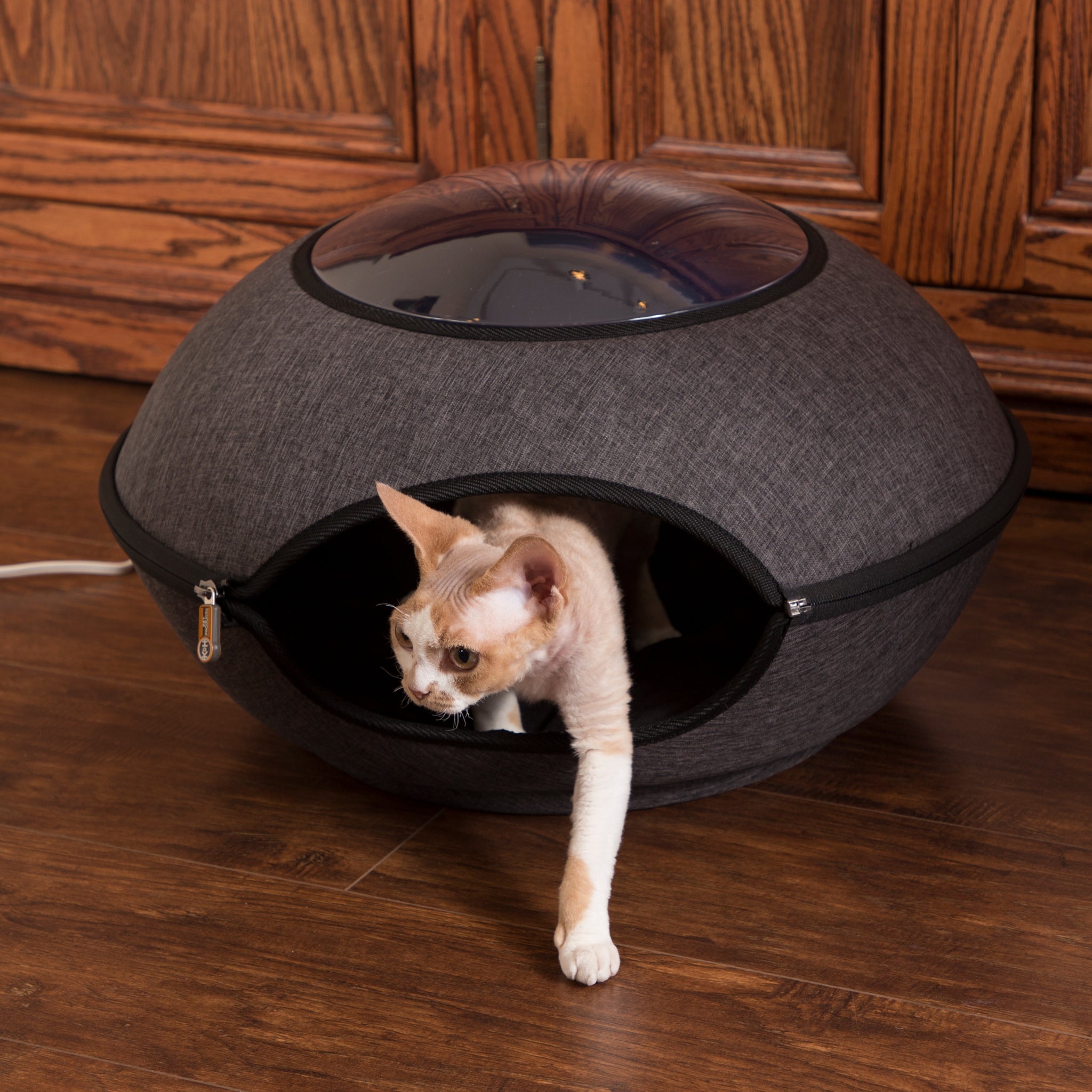 Illustration of Heated Cat Beds With Cooling Gel