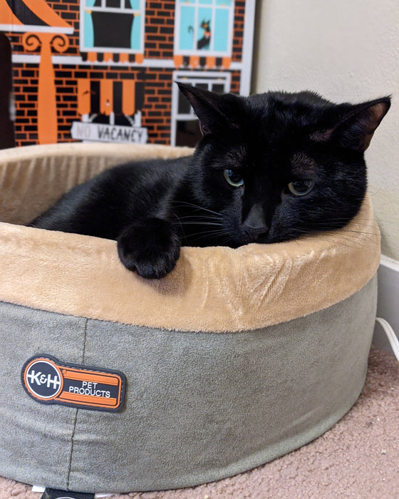 K&H Thermo-Kitty Bed Heated Cat Bed