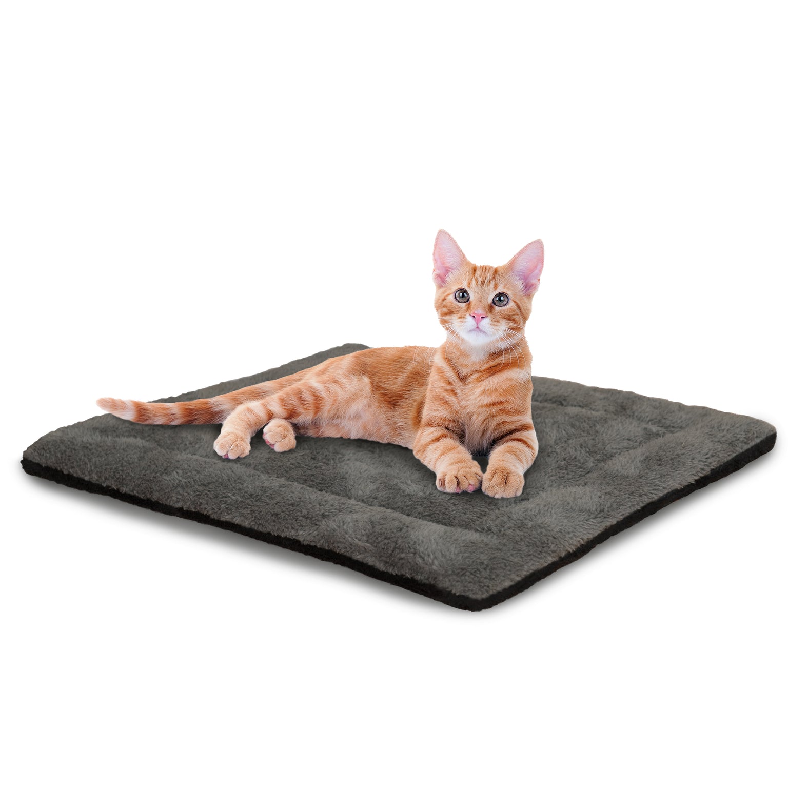 Dog Beds, Travel Carriers, Water Bowls & More — K&H Pet Products