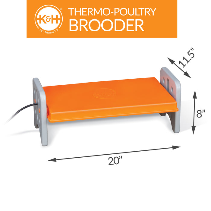 K&H Thermo-Poultry Brooder