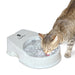CleanFlow Water Filter Without Reservoir Cat Water Bowl