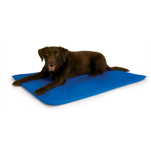 Cool Bed III Cooling Dog Bed Blue