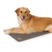 Deluxe Lectro-Kennel Heated Dog Bed Pad