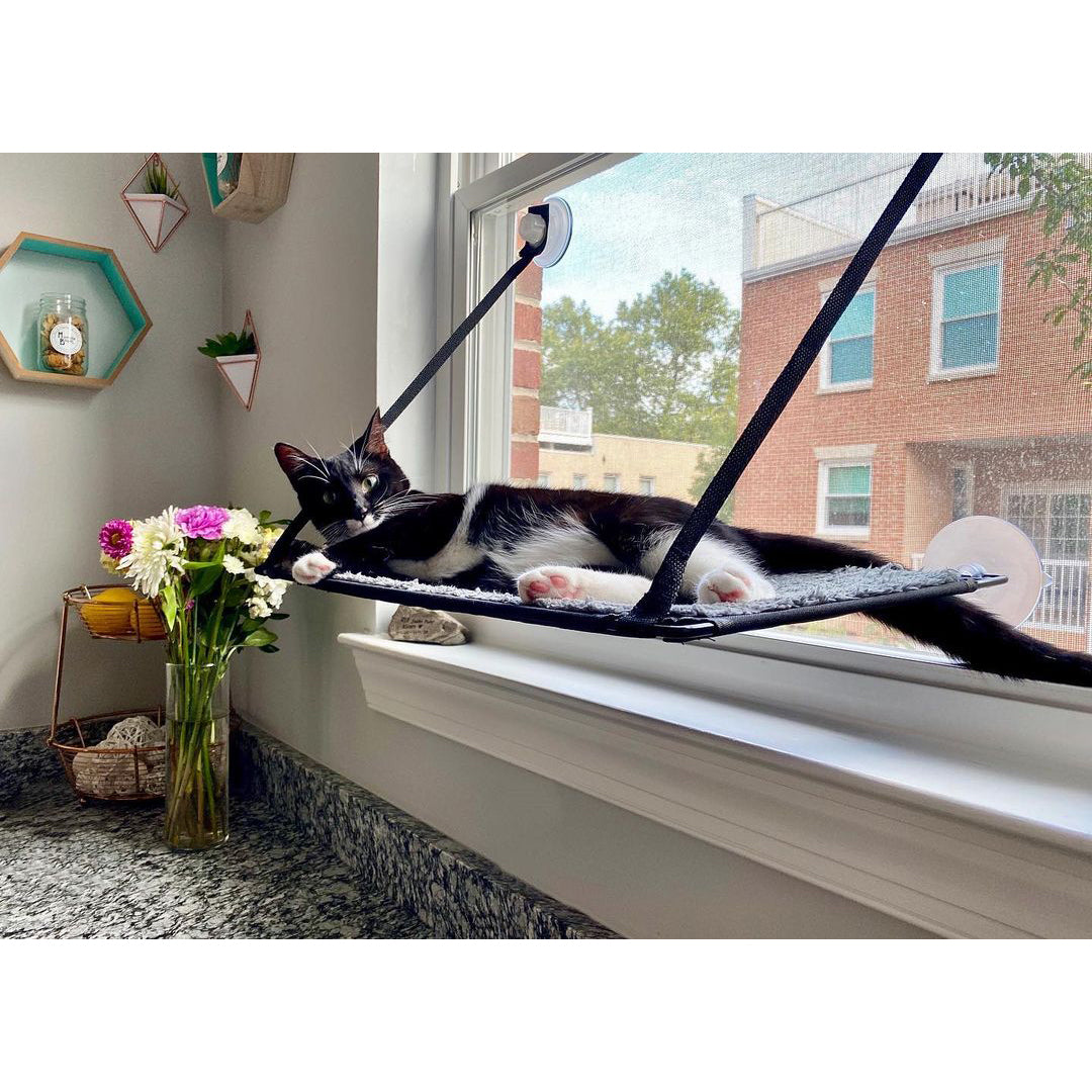 K&H EZ Mount Window Kitty Sill Single Level — K&H Pet Products