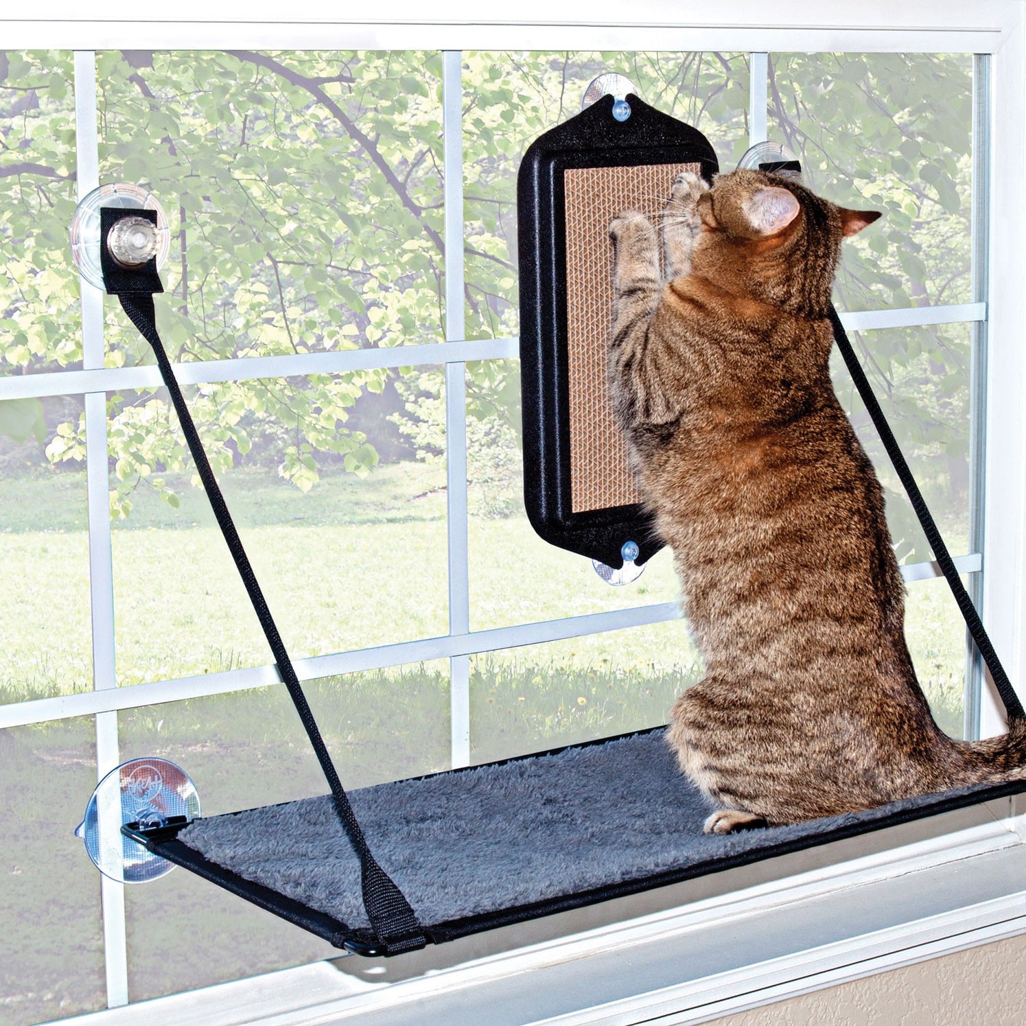 K&H Kitty Sill & EZ Mount Cat Window Perches — K&H Pet Products