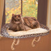 Deluxe Kitty Sill With Bolster Leopard Print