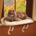 Deluxe Kitty Sill With Bolster Tan Kitty Print