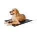 Lectro-Kennel Heated Dog Bed Pad