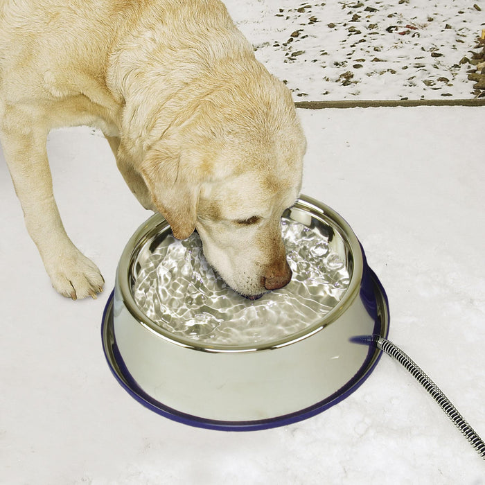 Toozey Heated Dog Bowl, 2 Adjustable Temperature Heated Water Bowl