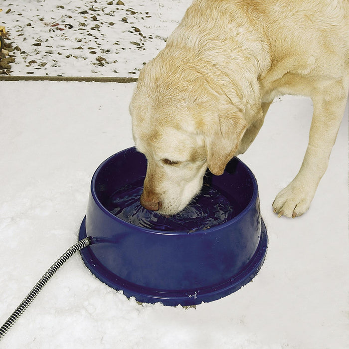 Thermal-Bowl Dog Heater Water Bowl Blue
