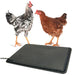 Thermo-Chicken Heated Pad