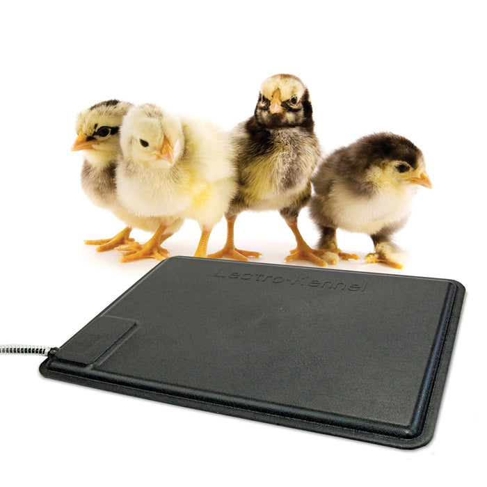 Thermo-Chicken Heated Pad