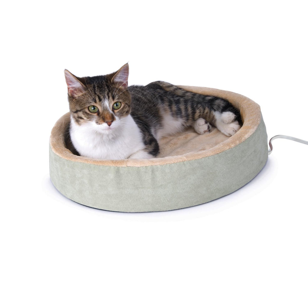 Heated Cat Beds For Play photo
